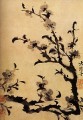 Rama florida de Shitao 1707 chino tradicional